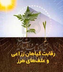 کتاب رقابت گیاهان زراعی و علف های هرز