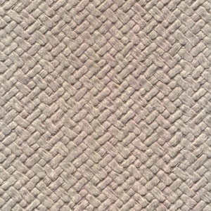 کتاب سالنامه 1404 چند طرحکاروس