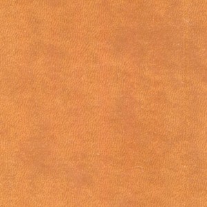 کتاب سالنامه 1404 چند طرحچرمین چرم
