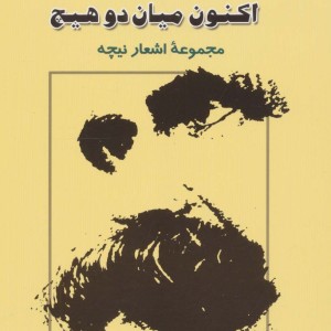 اکنون میان 2 هیچ مجموعه اشعار نیچه