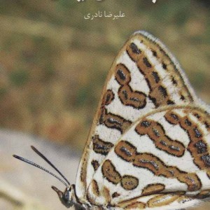 پروانه های ایران