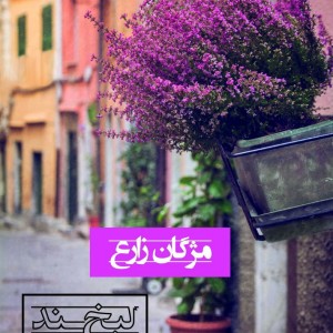 لبخند نیمه شب