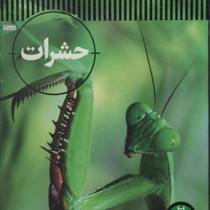 حشرات شاهد عینی نشر نردبان