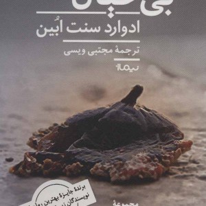 بی خیال