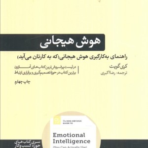 راهنمای به کارگیری هوش هیجانی