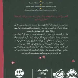 قاب یک رویا