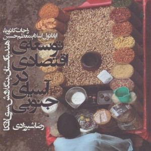کتاب توسعه اقتصادی در آسیای جنوبی