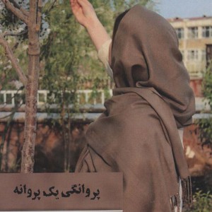 پروانگی یک پروانه