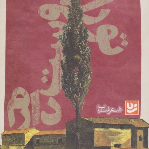 شعر شباب 1