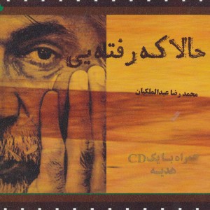 کتاب حالا که رفته یی