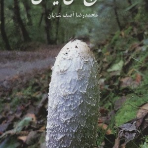 قارچ های ایران