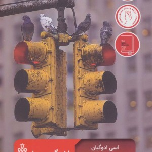 واشنگتن سیاه