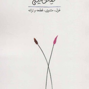 به تو بر می گردم