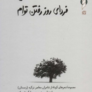 من فردای روز رفتن توام