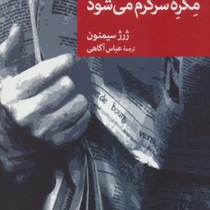 مگره سرگرم می شود