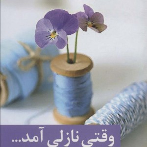 کتاب وقتی نازلی آمد