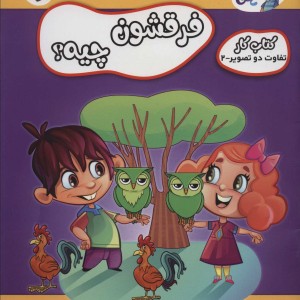 فرقشون چیه