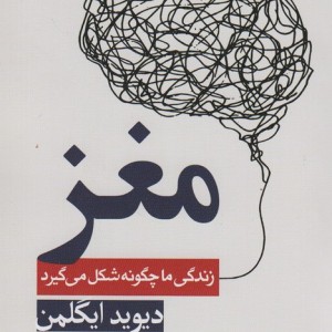 مغز زندگی ما چگونه شکل می گیرد