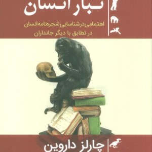 تبار انسان
