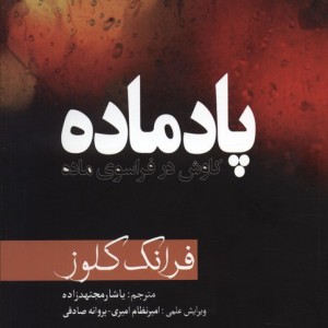 پاد ماده
