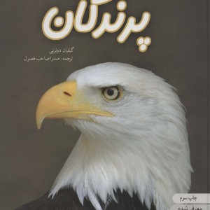 دنیای هیجان انگیز پرندگان
