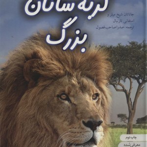 دنیای هیجان انگیز گربه سانان بزرگ