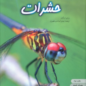 دنیای هیجان انگیز 1 حشرات