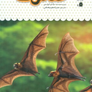 یک فنجان دانستنی درباره ی خفاش ها