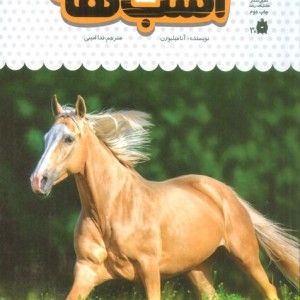 یک فنجان دانستنی درباره ی اسب ها