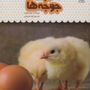 یک فنجان دانستنی درباره ی تخم ها و جوجه