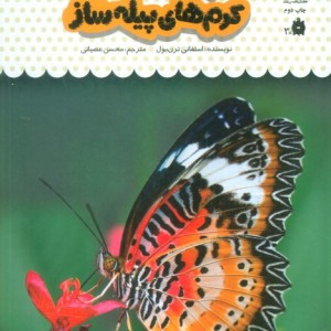 یک فنجان دانستنی درباره ی پروانه ها