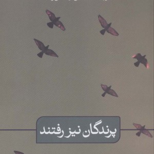 پرندگان نیز رفتند
