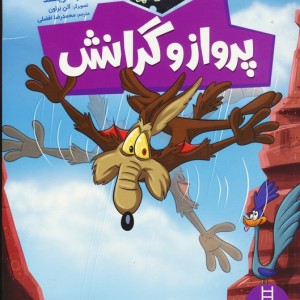 پرواز و گرانش