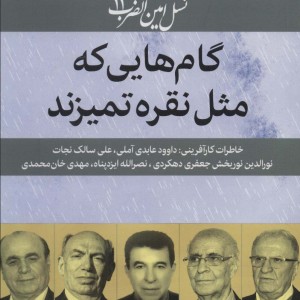 کتاب نسل امین الضرب11