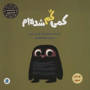 کمی گم شده ام