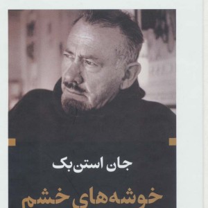 کتاب خوشه های خشم نشر نگاه قطع پالتوئی