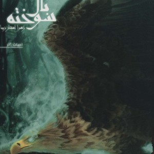 کتاب کابوس پرواز از نفرین بال سوخته 1