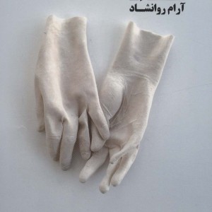 دو زن زیبا