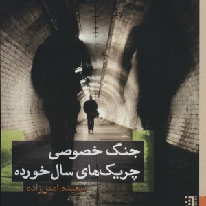 جنگ خصوصی چریک های سال خورده - سعیده امین زاده