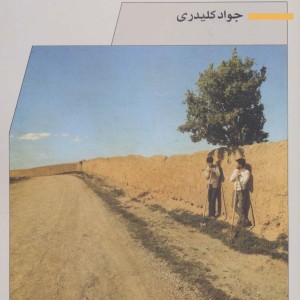 نیم رخ تابستان