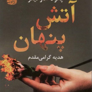 آتش پنهان - پائولا هاوکینز