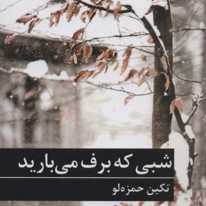 کتاب شبی که برف می بارید