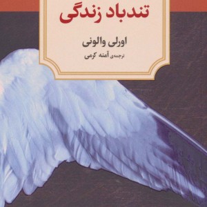 تندباد زندگی