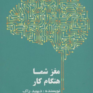 مغز شما هنگام کار - دیوید راک