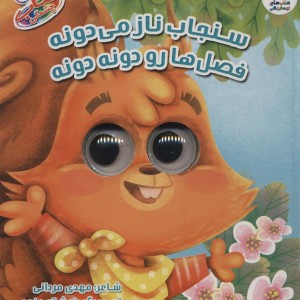 کتاب چشمکی 13 سنجاب ناز می دونه نشر سایه گستر