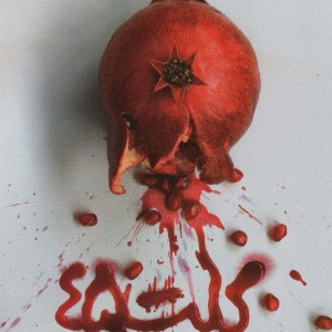 کلت 45 - حسام الدین مطهری