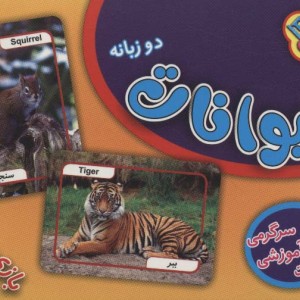 فلش کارت حیوانات نشر برف