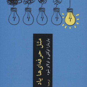 کتاب مثل حرفه ای ها یاد بگیر