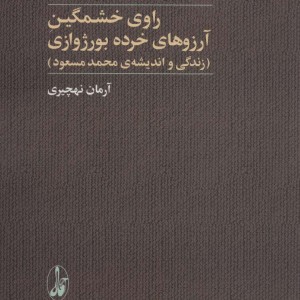 راوی خشمگین آرزوهای خرده بورژوازی - آرمان نهچیری