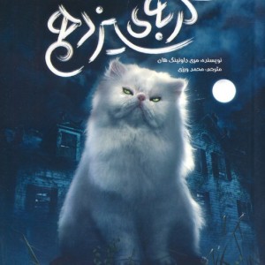 گربه سیزدهم